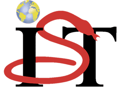 Logotype - IST